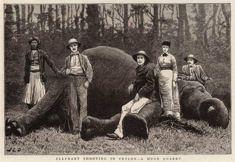 Chasse à l