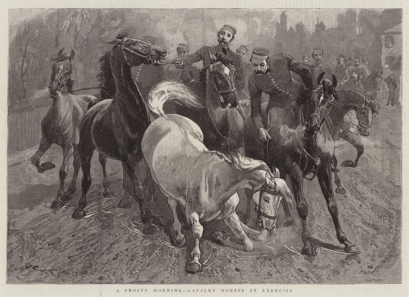 Matin givré, chevaux de cavalerie à l