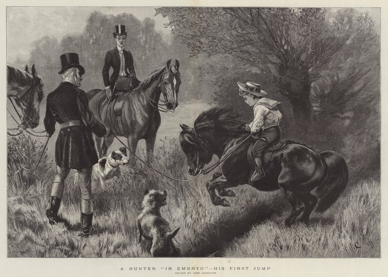 Un chasseur en herbe, son premier saut - John Charlton