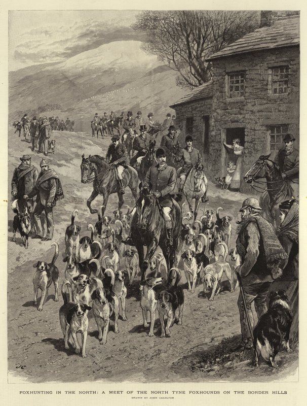 Chasse au renard dans le Nord, une rencontre des North Tyne Foxhounds dans les Border Hills - John Charlton
