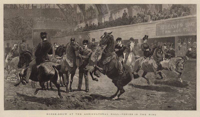 Spectacle équestre au Agricultural Hall, poneys dans l
