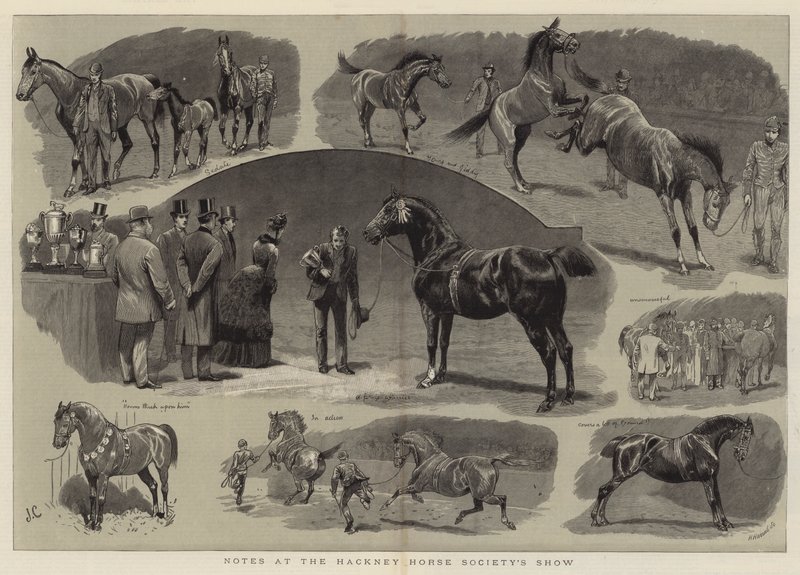 Notes au salon de la Hackney Horse Society - John Charlton