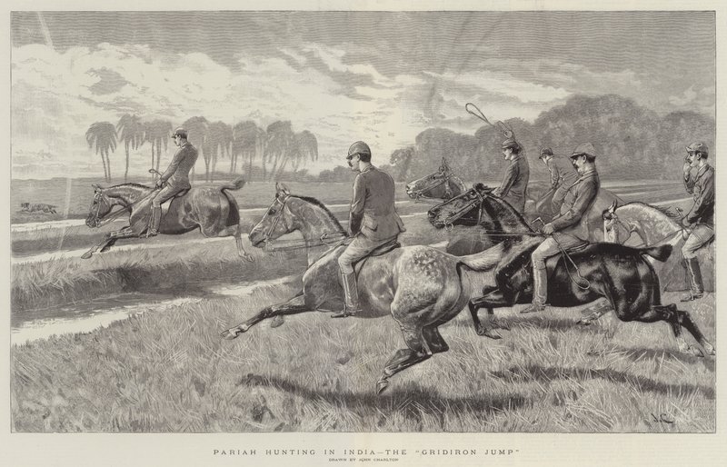 Chasse au paria en Inde, le saut du gril - John Charlton