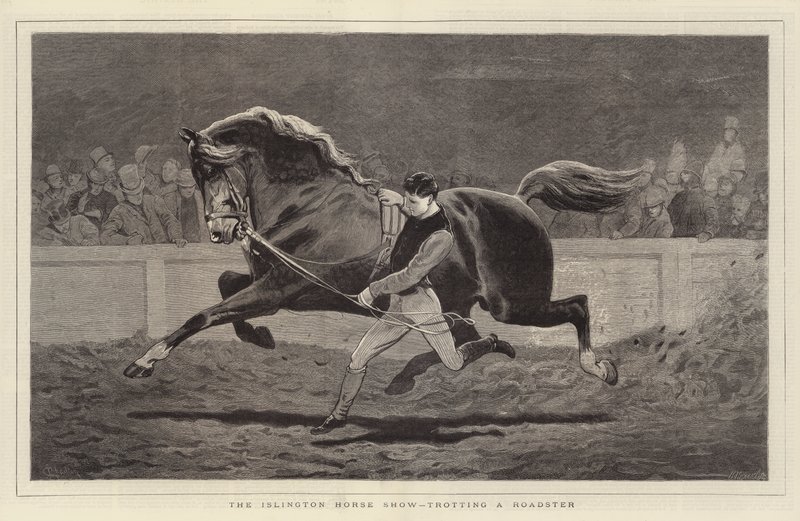 Le Salon du Cheval d