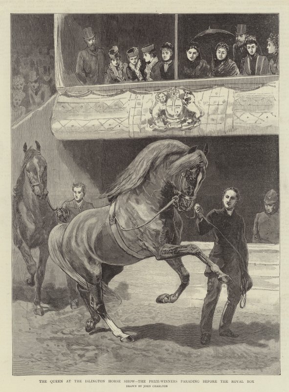 La reine au salon du cheval d