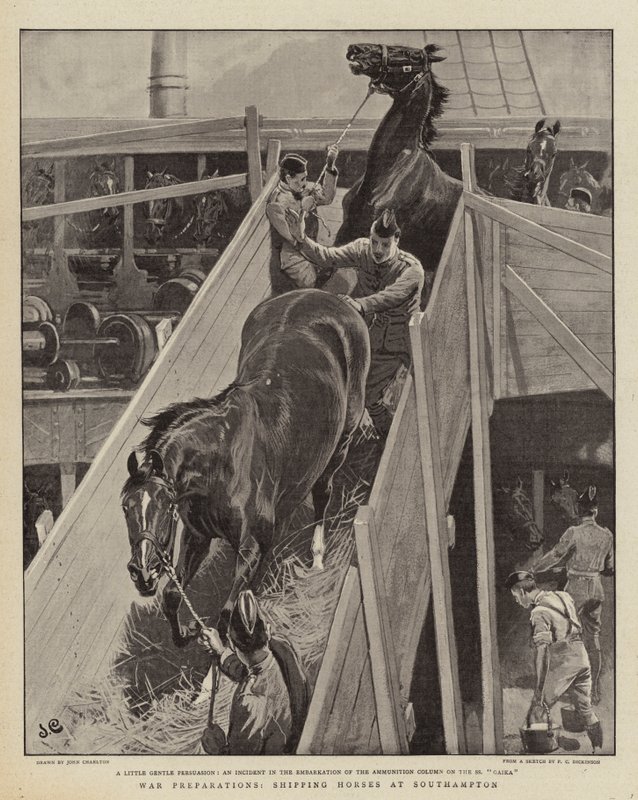 Préparatifs de guerre, embarquement des chevaux à Southampton - John Charlton