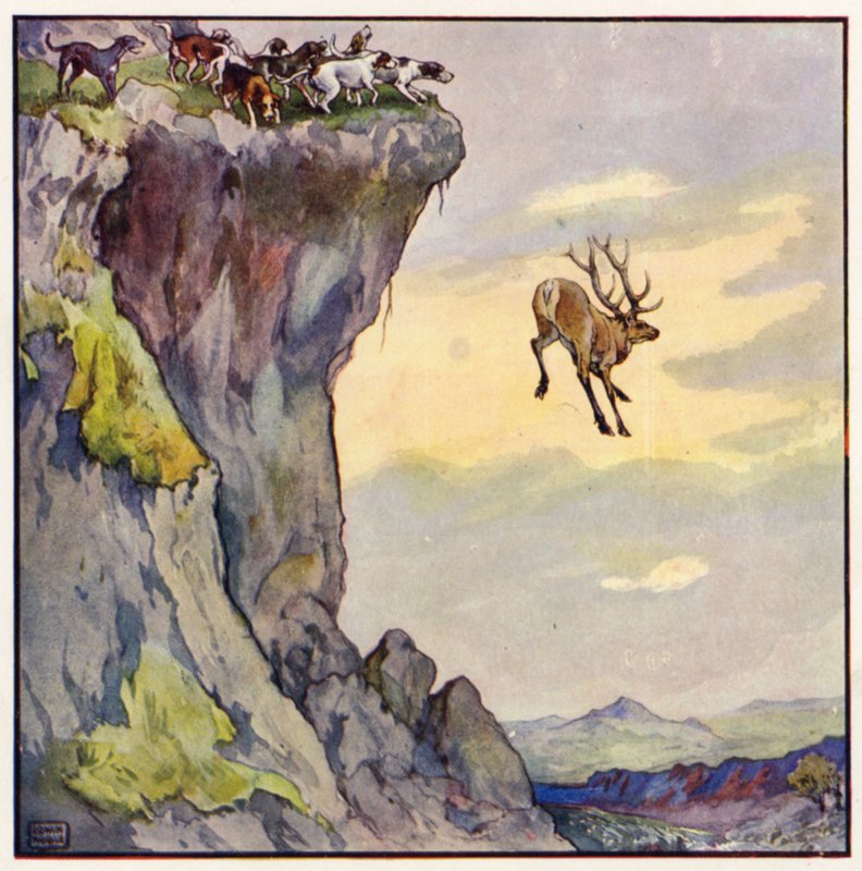 Le cerf plongea dans l