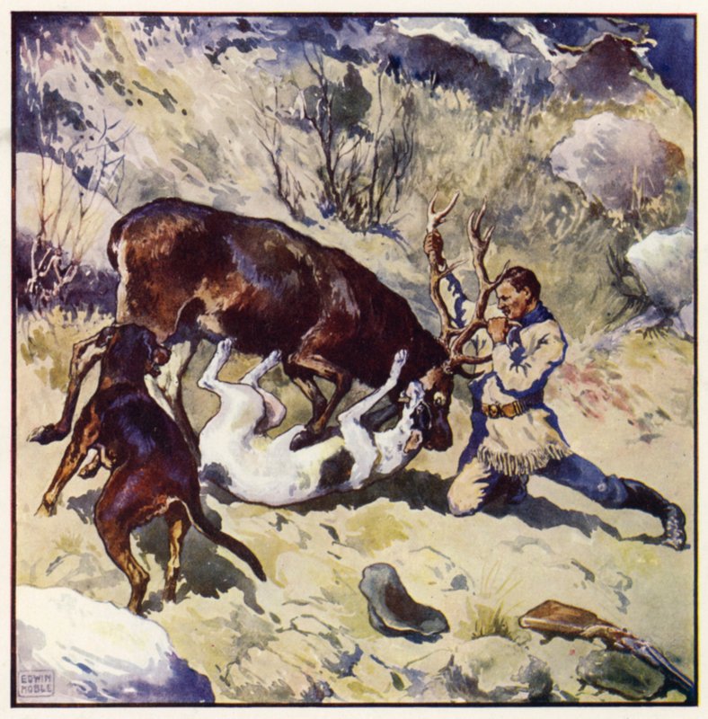 La lutte aurait été intéressante et passionnante pour un spectateur - John Edwin Noble