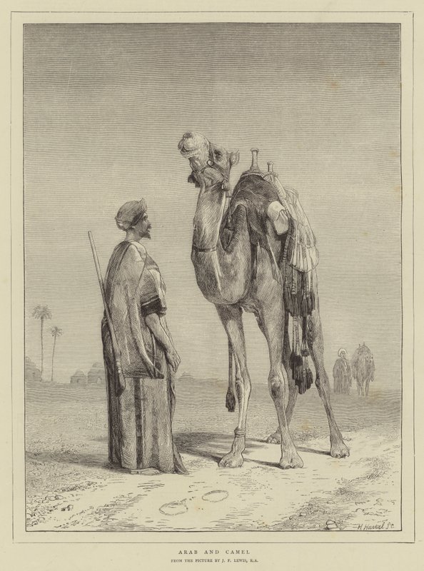 Arabe et chameau - John Frederick Lewis