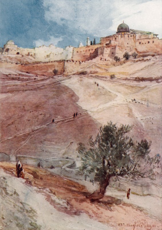 Mur sud de Jérusalem, depuis l