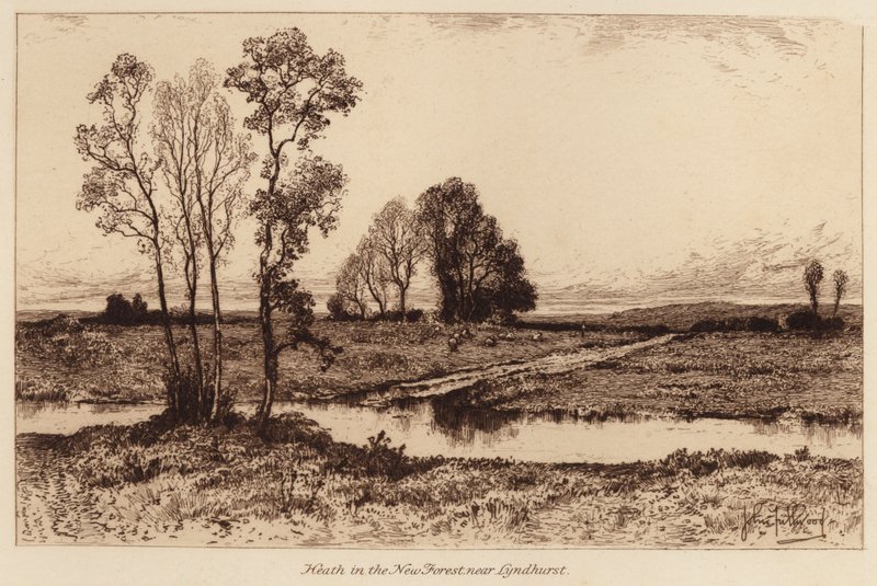 Landes dans la Nouvelle Forêt, près de Lyndhurst - John Fullwood