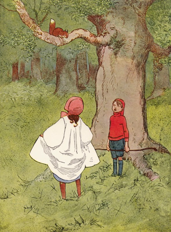 Un petit écureuil adorable, avec une queue bouclée - John Hassall