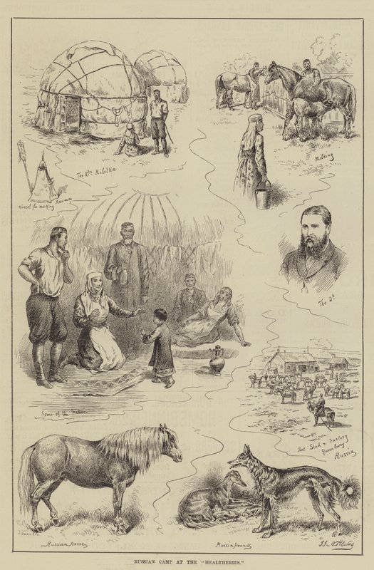 Camp russe aux Healtheries - John Jellicoe
