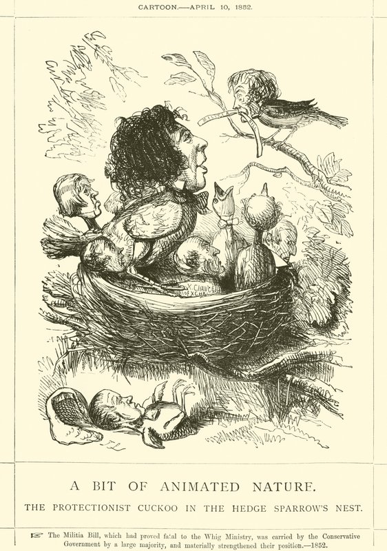 Un Morceau de Nature Animée, Le Coucou Protectionniste dans le Nid des Moineaux - John Leech