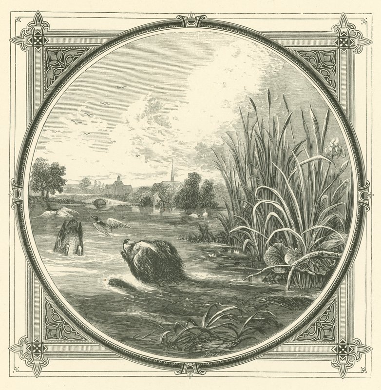 Il y a bien des glissements entre la coupe et les lèvres (gravure) - John Leighton