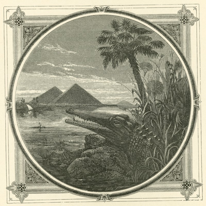 Qui est nuisible à lui-même, ne profite à personne (gravure) - John Leighton