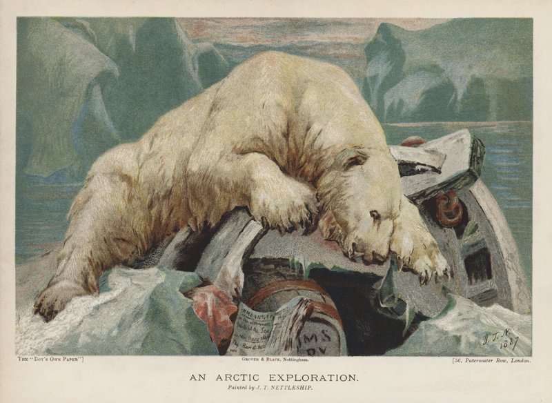 Une exploration arctique : un ours polaire enquêtant sur des objets d