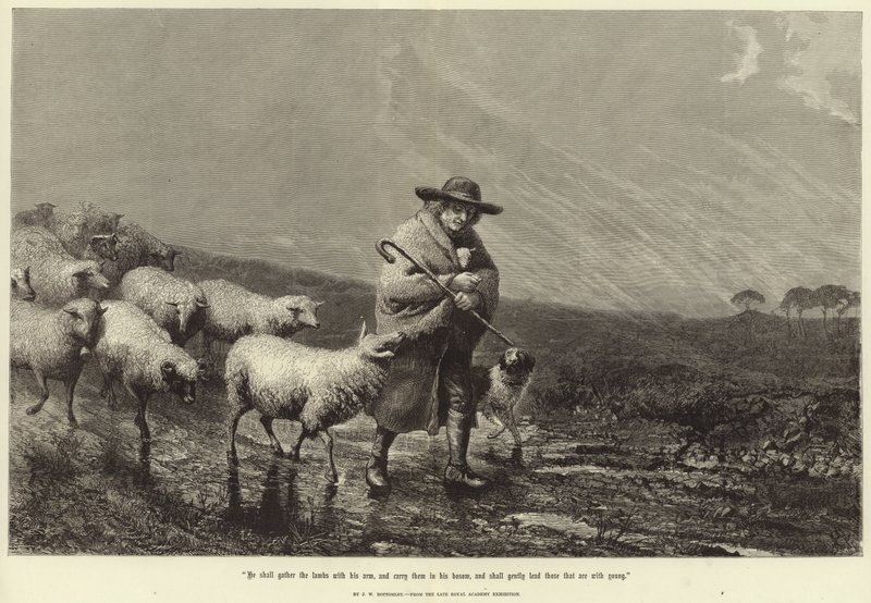 Il rassemblera les agneaux avec son bras - John William Bottomley