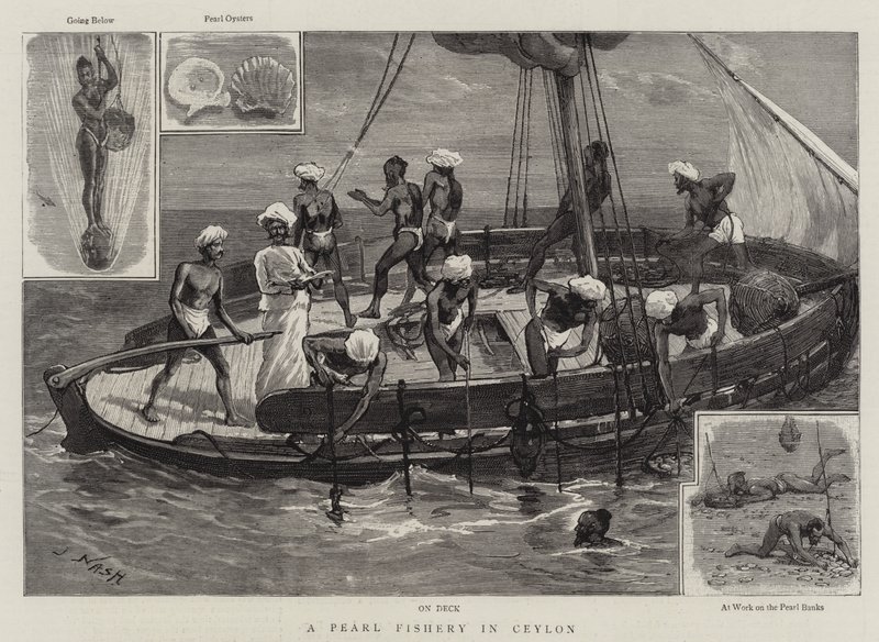 Une pêche de perles à Ceylan - Joseph Nash