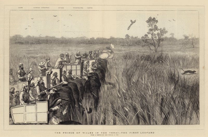 Le Prince de Galles dans le Terai, le premier léopard - Joseph Nash