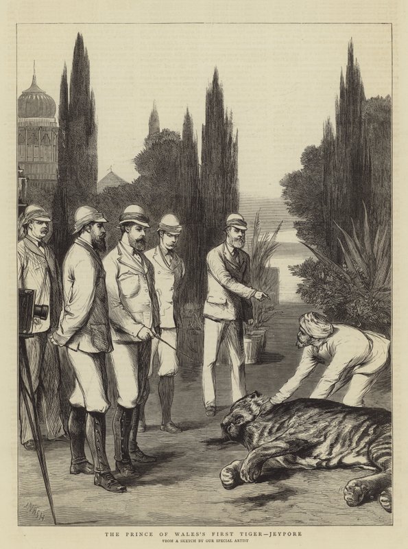 Le premier tigre du Prince de Galles, Jeypore - Joseph Nash