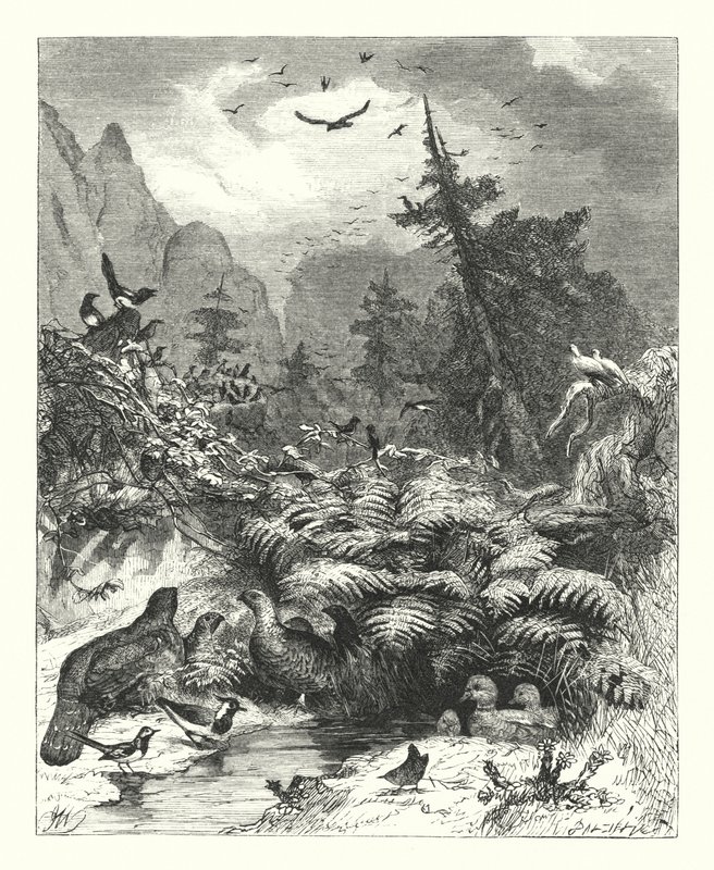 Recherche de Dieu (gravure) - Joseph (after) Wolf