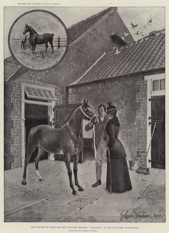 La princesse de Galles et son poulain préféré Alexandra à la ferme d