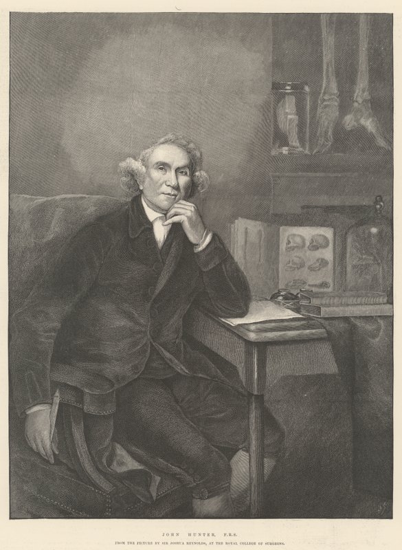 John Hunter, FRS - Joshua Reynolds