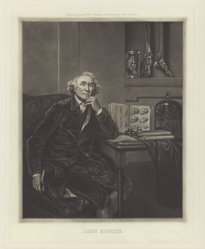 John Hunter, chirurgien écossais - Joshua Reynolds