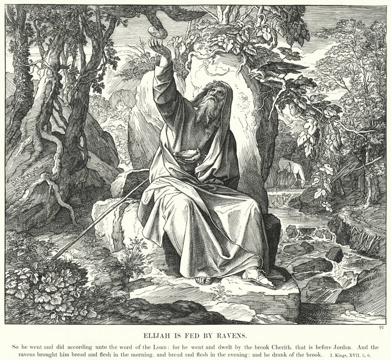 Élie nourri par des corbeaux - Julius (after) Schnorr von Carolsfeld