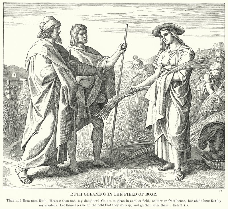 Ruth glanant dans le champ de Boaz (gravure) - Julius (after) Schnorr von Carolsfeld
