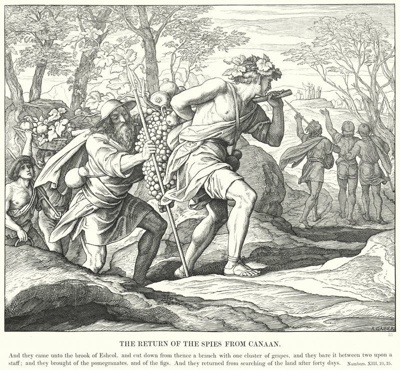 Le Retour des espions de Canaan - Julius (after) Schnorr von Carolsfeld