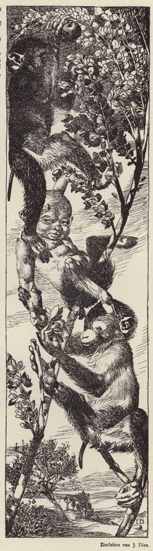 Singes cueillant des fruits dans un arbre (litho) - Julius Diez