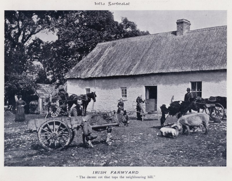 Cour de ferme irlandaise - Karl Karlovich Piratsky