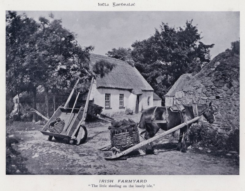 Ferme irlandaise (photo) - Karl Karlovich Piratsky
