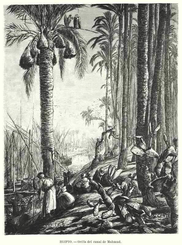 Rives du canal Mahmoudiyah, Égypte - Karl Wilhelm Gentz