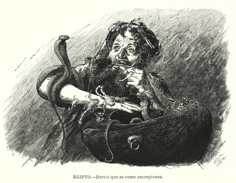 Derviche mangeur de scorpions, Égypte - Karl Wilhelm Gentz