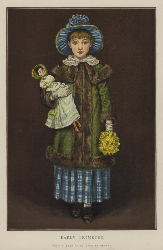 Primevère précoce - Kate (after) Greenaway