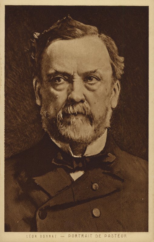 Louis Pasteur (1822-1895), chimiste et microbiologiste français - Leon Joseph Florentin Bonnat