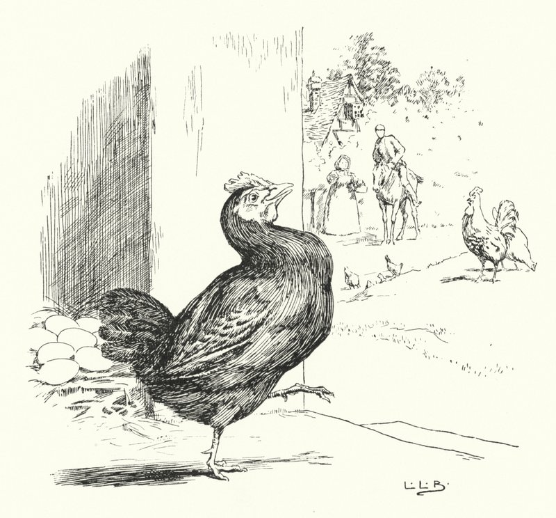 Higgley Piggley, ma poule noire - Leonard Leslie Brooke