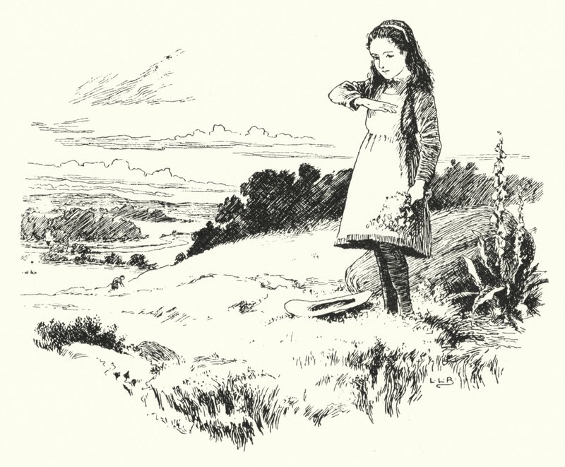 Coccinelle, coccinelle, rentre chez toi (gravure) - Leonard Leslie Brooke