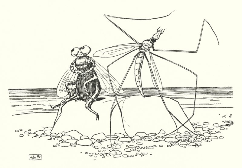 Le Papa-Longues-Jambes et la Mouche - Leonard Leslie Brooke