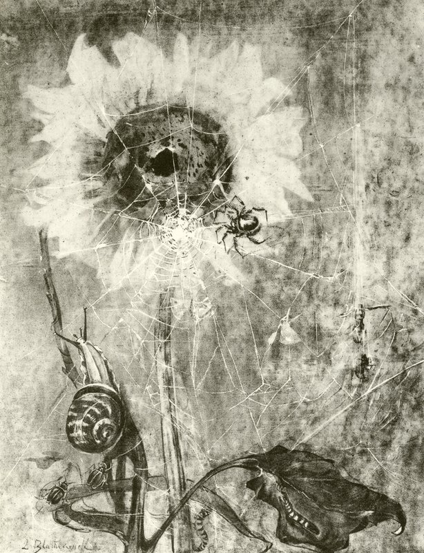 Les Fées - Lily Blatherwick