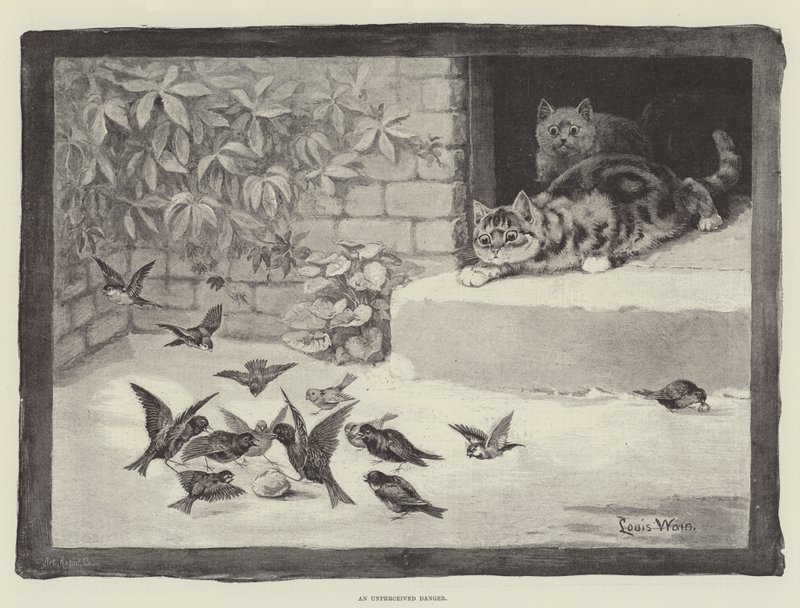 Un danger non perçu - Louis Wain