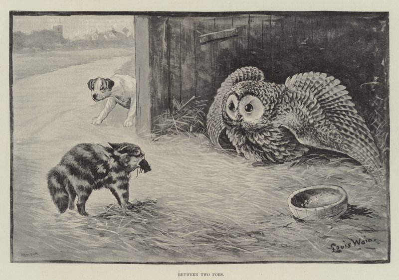 Entre deux ennemis - Louis Wain