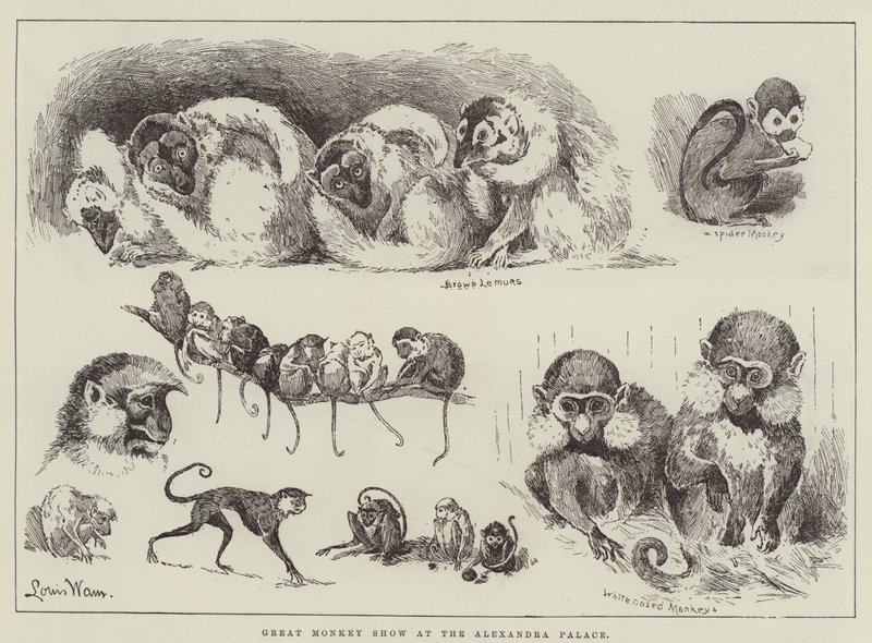 Grand spectacle de singes au palais Alexandra - Louis Wain