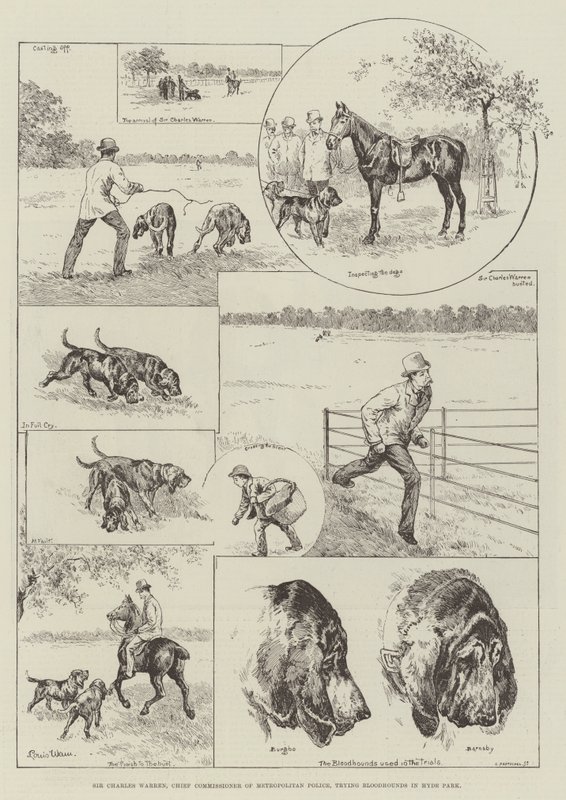 Sir Charles Warren, commissaire en chef de la police métropolitaine, essayant des chiens de sang à Hyde Park - Louis Wain