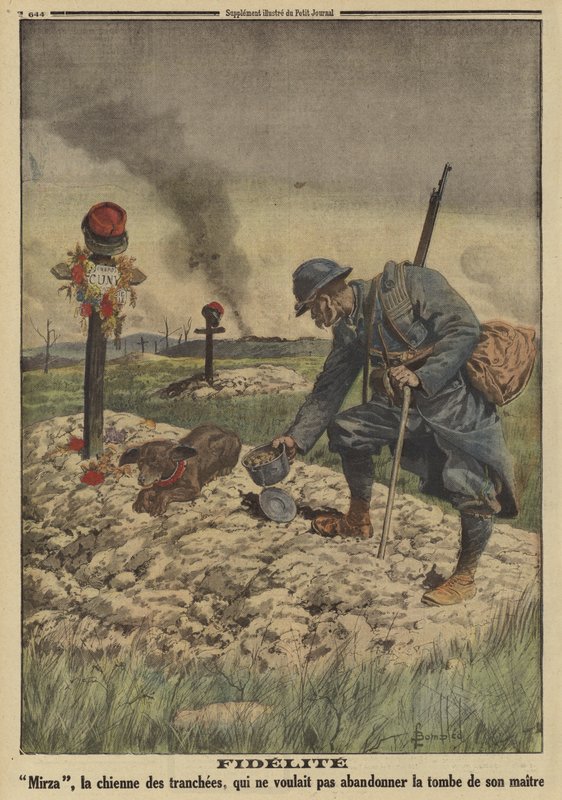 Loyauté : chien de l