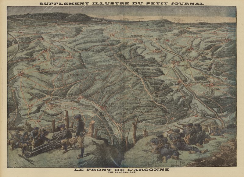Vue panoramique du secteur de la forêt d