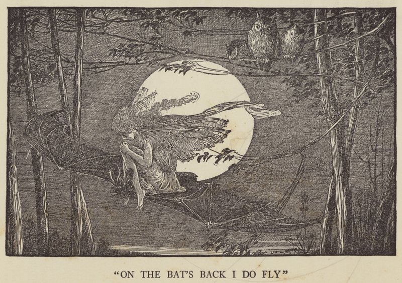 Sur le dos des chauves-souris je vole - Louis John Rhead